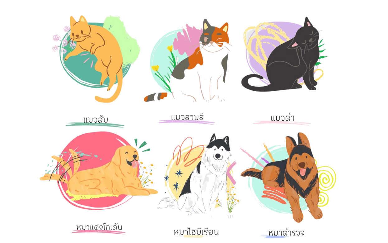แบบทดสอบ My Type: Seasons of Love ความรักของคุณเป็นแบบไหน อ้างอิงสไตล์จากไทป์ของน้องหมาน้องแมว